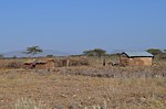 Krajina Ngaremara Kenya 2014_0272.jpg